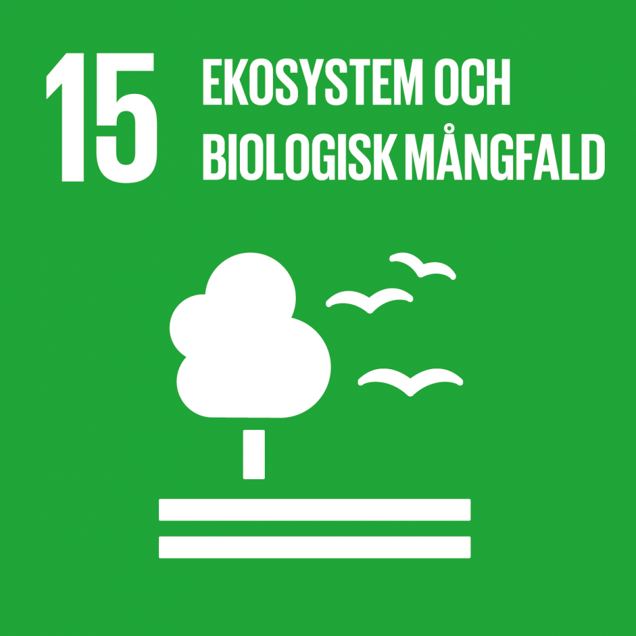 Mål 15 Ekosystem och biologisk mångfald