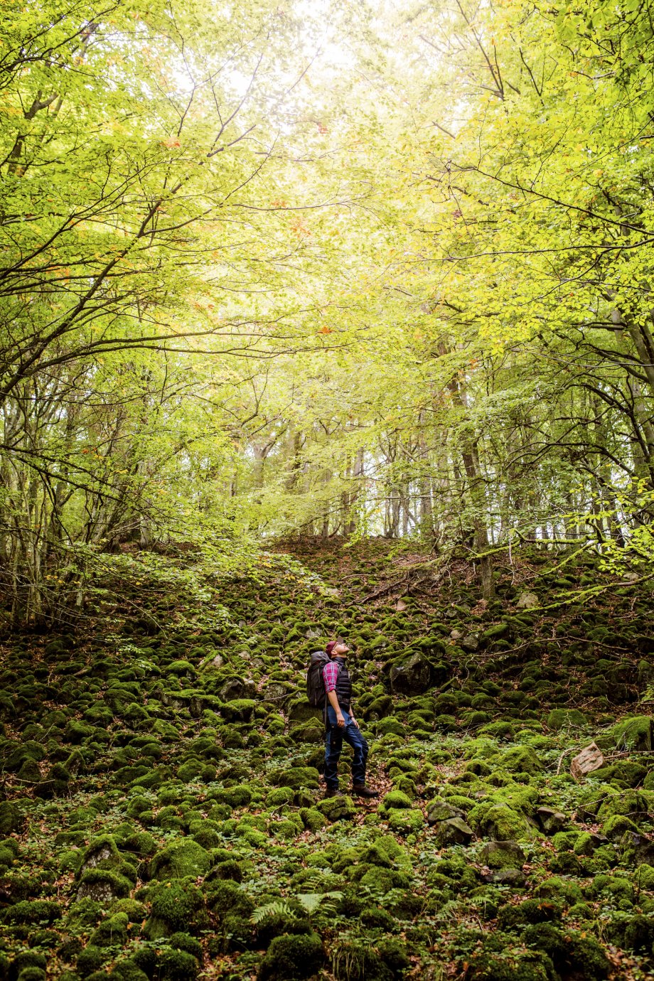 En vandrare står mitt i grönskande skog. Foto.
