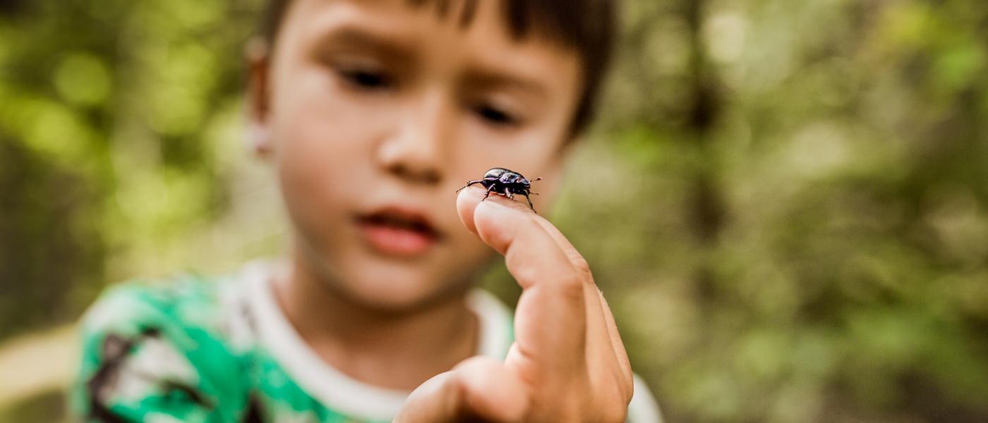 Pojke tittar en insekt på sin hand
