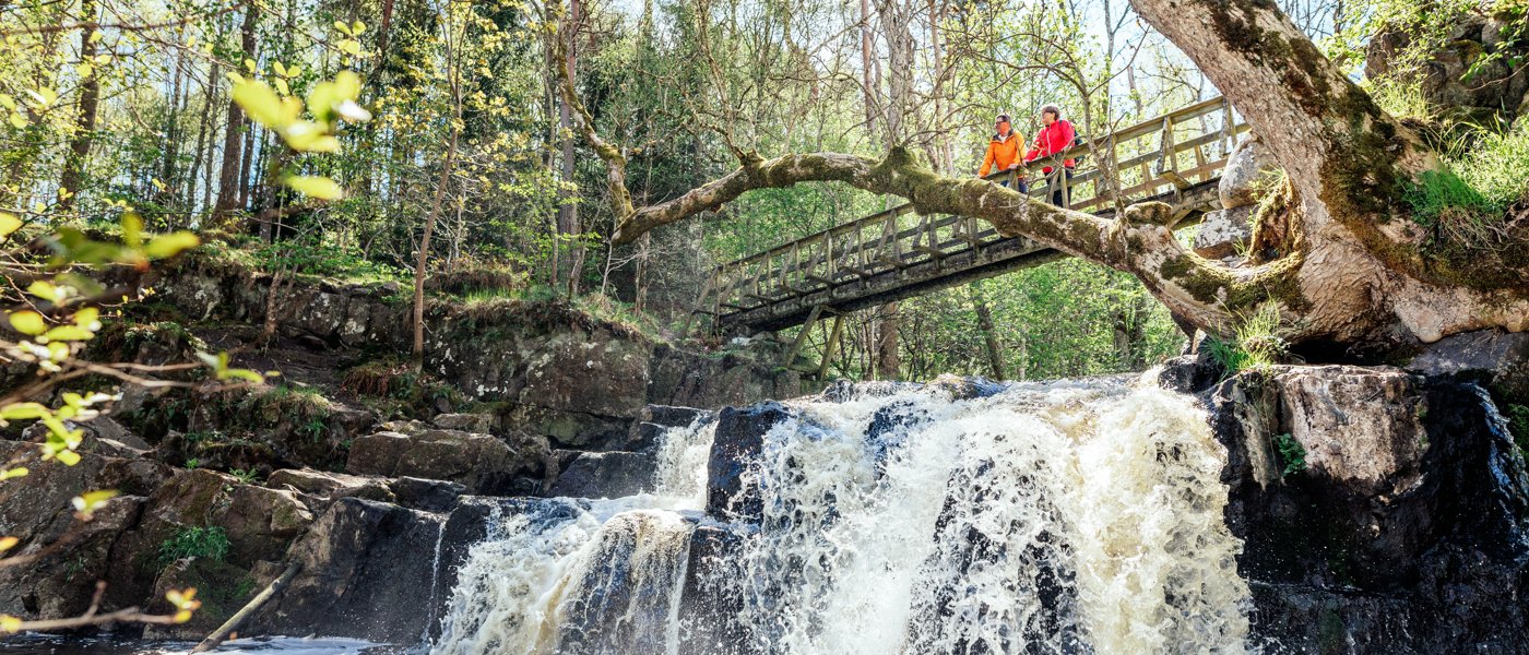 Två vandrare står på en bro över ett vattenfall i skogen. Foto.
