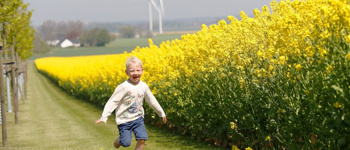 En pojke springer leende vid sidan av ett blommande rapsfält. Foto.