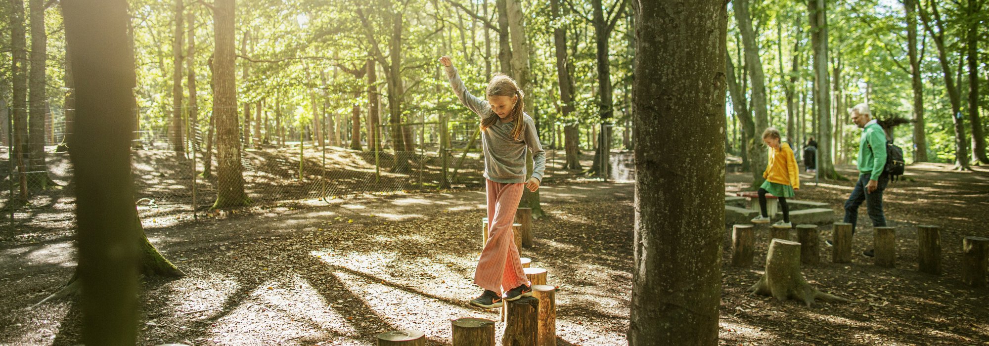 Barn leker i skogen. Ängelholms hembygdspark. Foto.