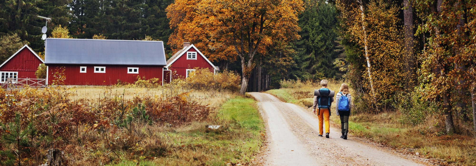 Två personer promenerar på en grusväg med höstfärgad skog i bakgrunden. Foto.