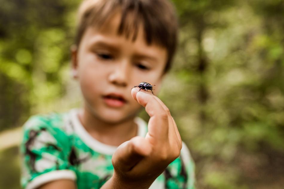Pojke tittar en insekt på sin hand