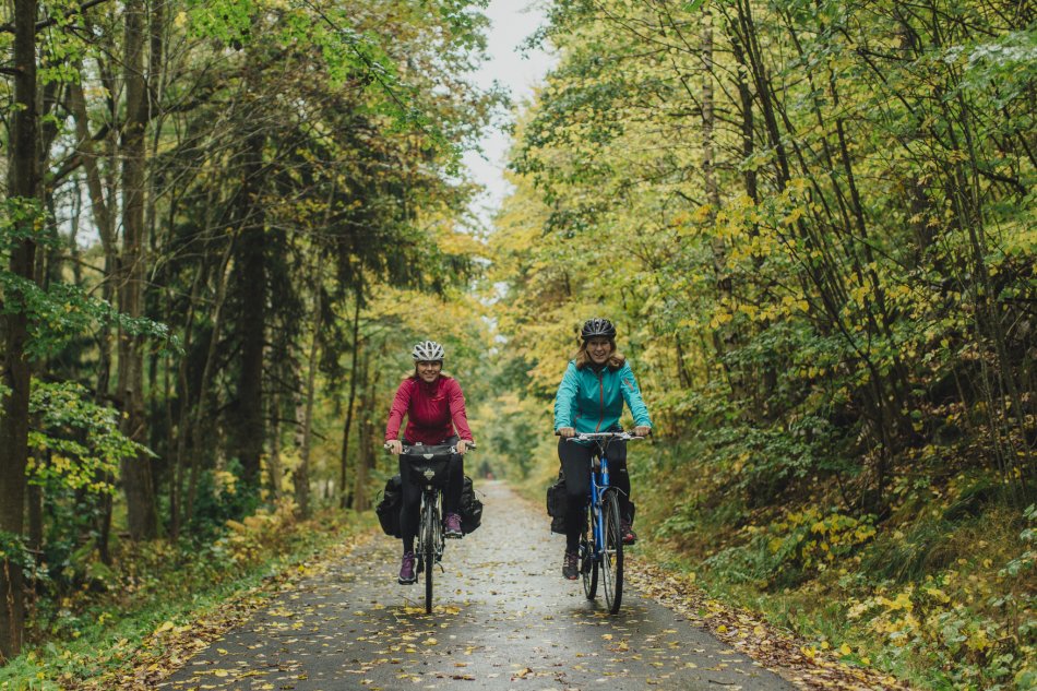Två cyklister på väg genom en skog. Foto.