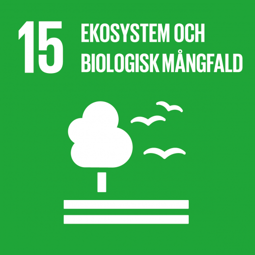 Mål 15: Ekosystem och biologisk mångfald