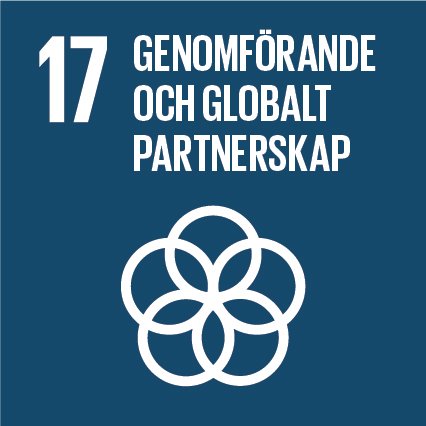 Globala målen 17: Genomförande och globalt partnerskap