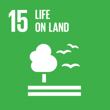 Global goal 15: Life on land